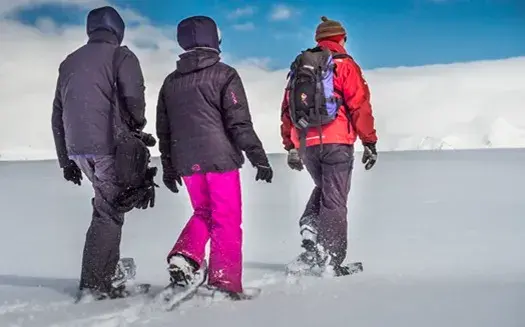 free activities in antarctica cruises