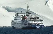 Plancius - Oceanwide Expeditions