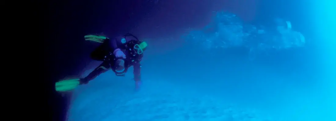 Diving in Antarctic Cruises